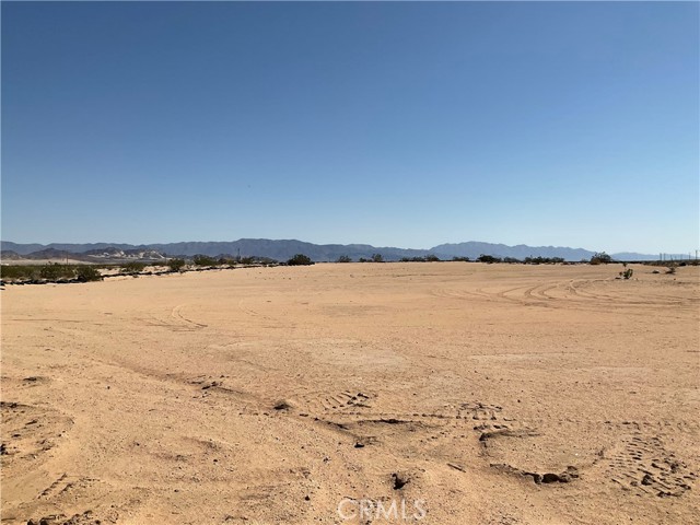 MLS #JT25159423 image #5