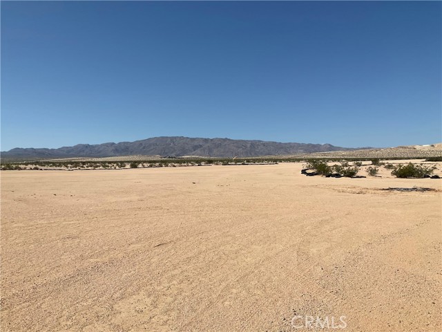 MLS #JT25159423 image #9