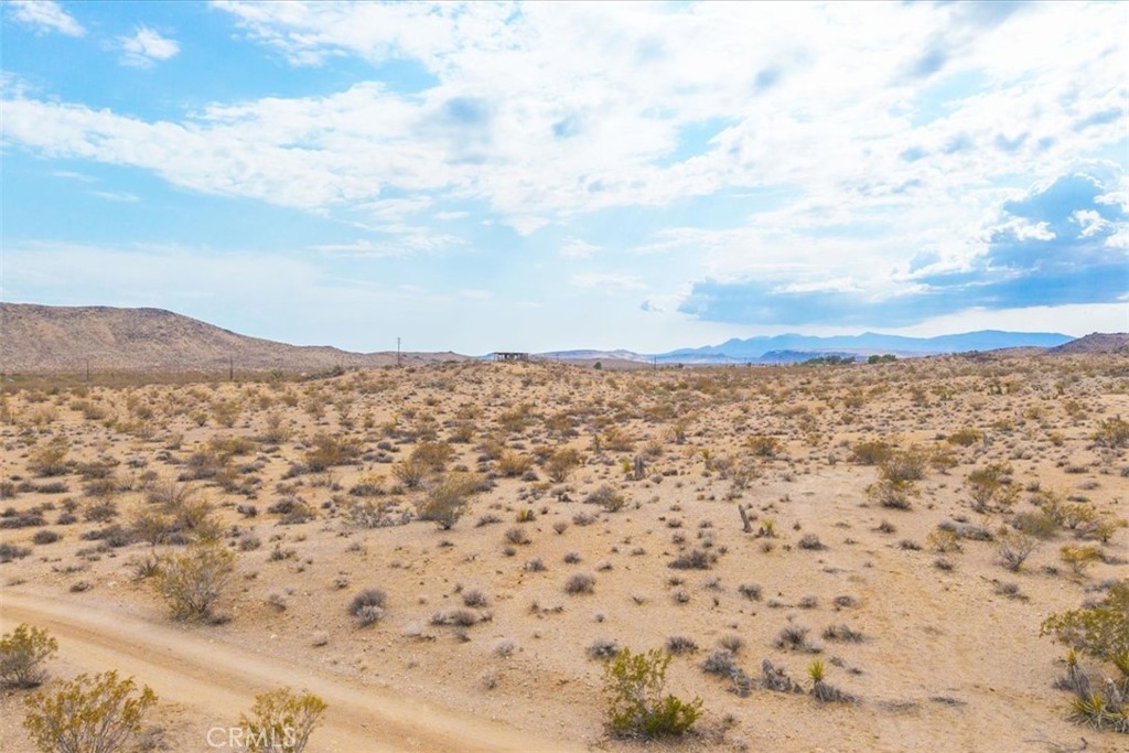 MLS #JT25161247 image #11