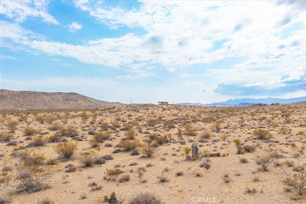 MLS #JT25161247 image #12