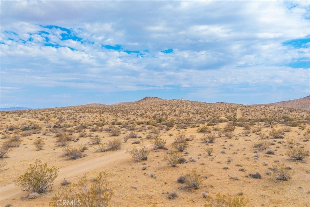 MLS #JT25161247 image #14