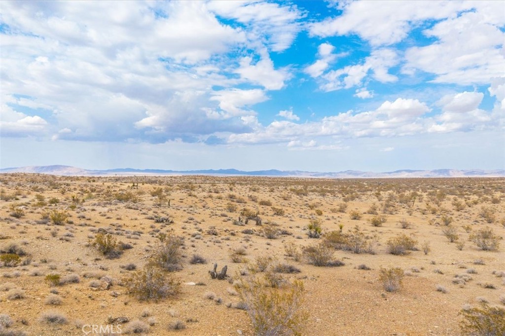 MLS #JT25161247 image #16