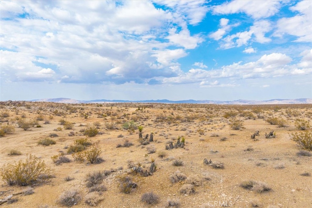 MLS #JT25161247 image #19