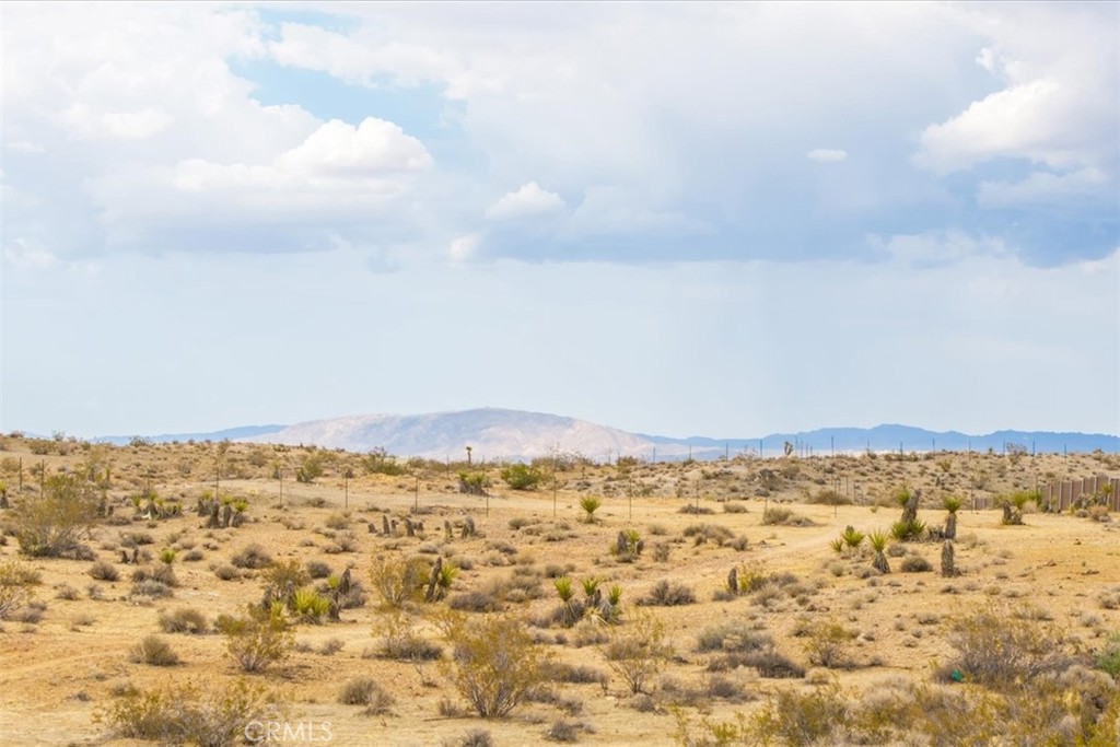 MLS #JT25161247 image #21