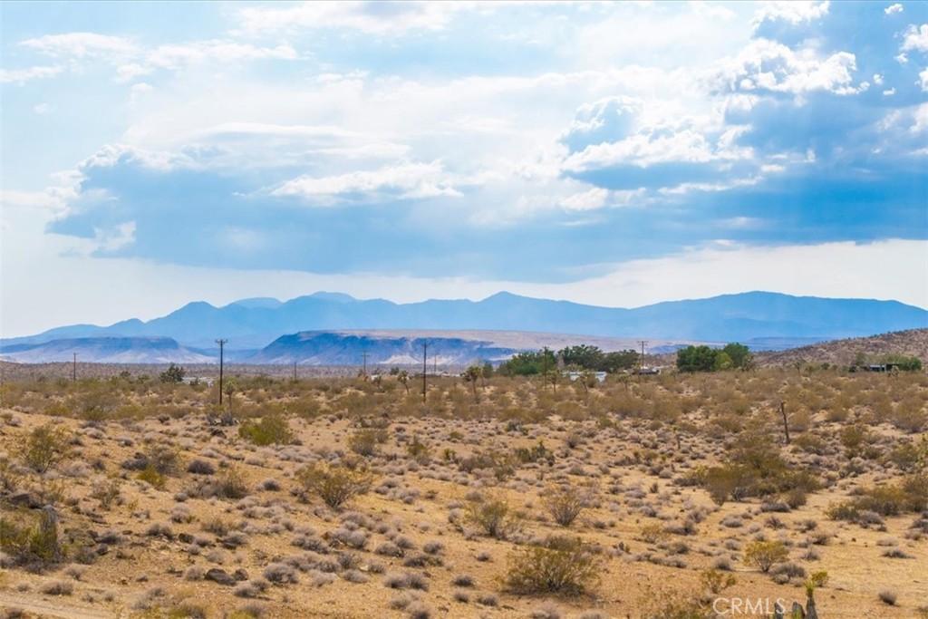 MLS #JT25161247 image #22