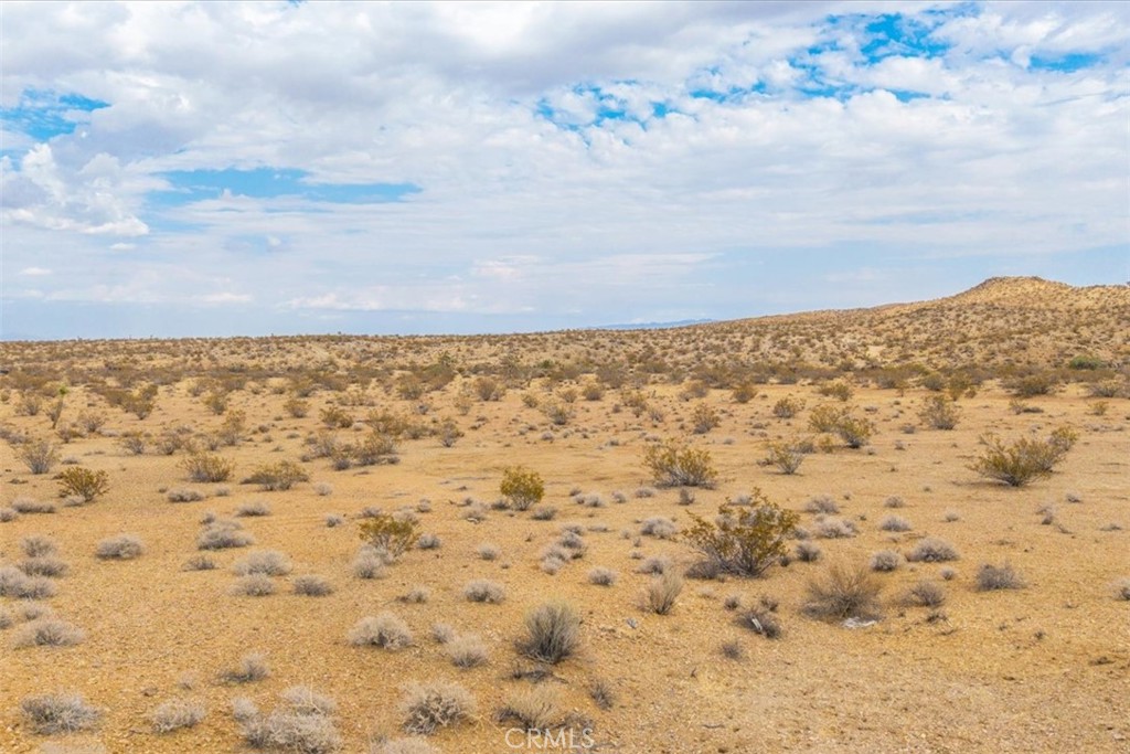 MLS #JT25161247 image #23