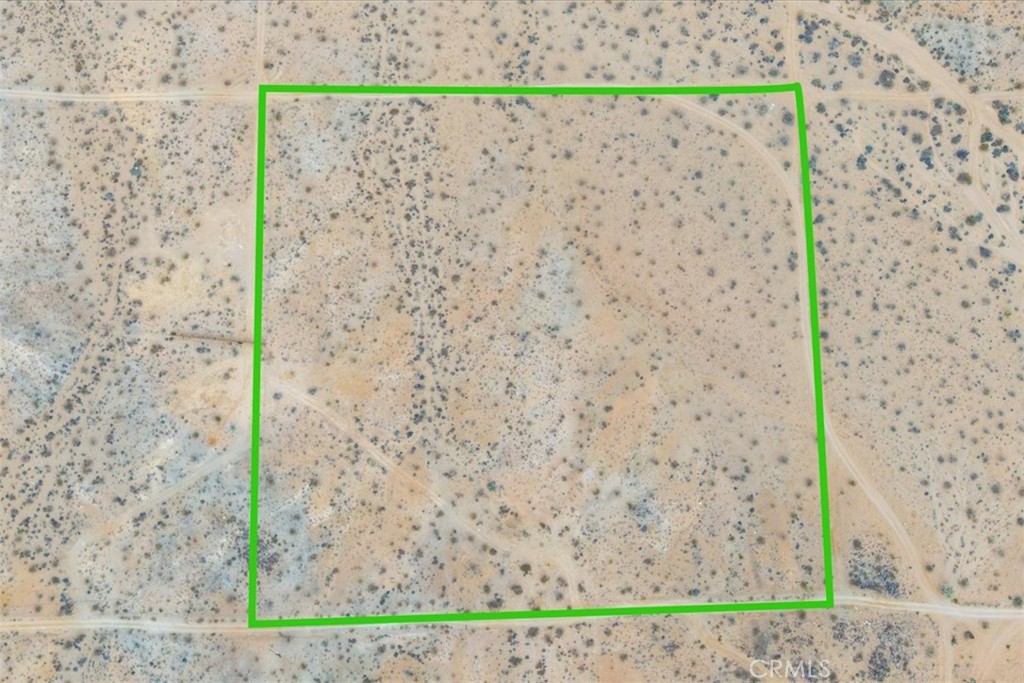 MLS #JT25161247 image #8