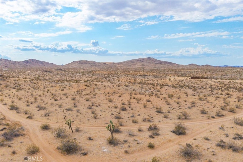 MLS #JT25161247 image #9