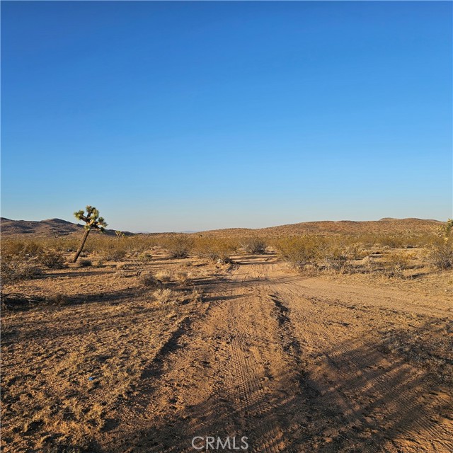 MLS #JT25169268 image #1