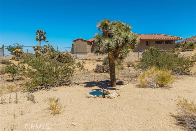 MLS #JT25171538 image #46