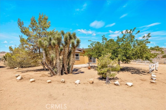 MLS #JT25172662 image #38