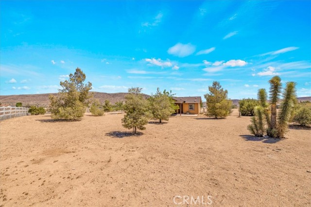 MLS #JT25172662 image #4