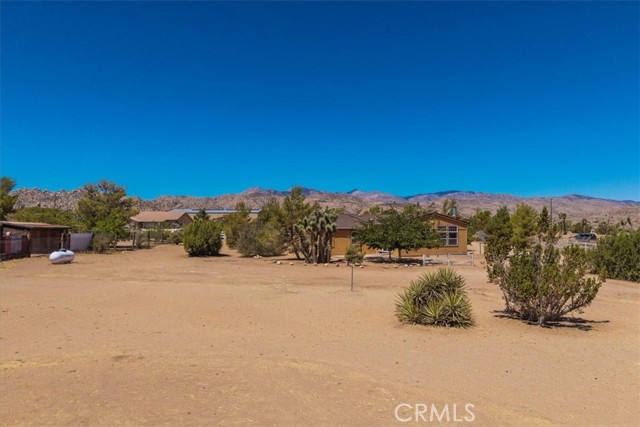 MLS #JT25172662 image #42