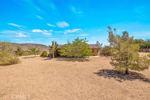 MLS #JT25172662 image #5