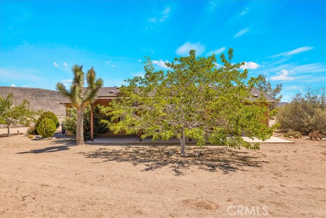 MLS #JT25172662 image #6