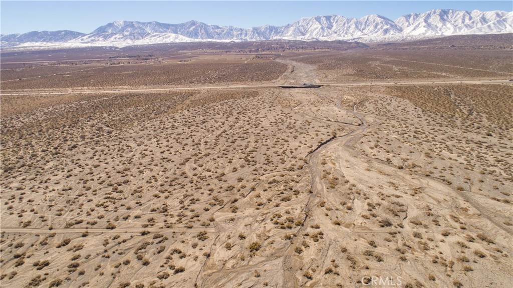 MLS #JT25172803 image #3