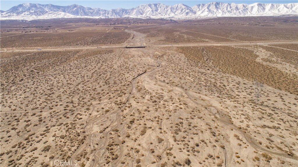 MLS #JT25172803 image #4