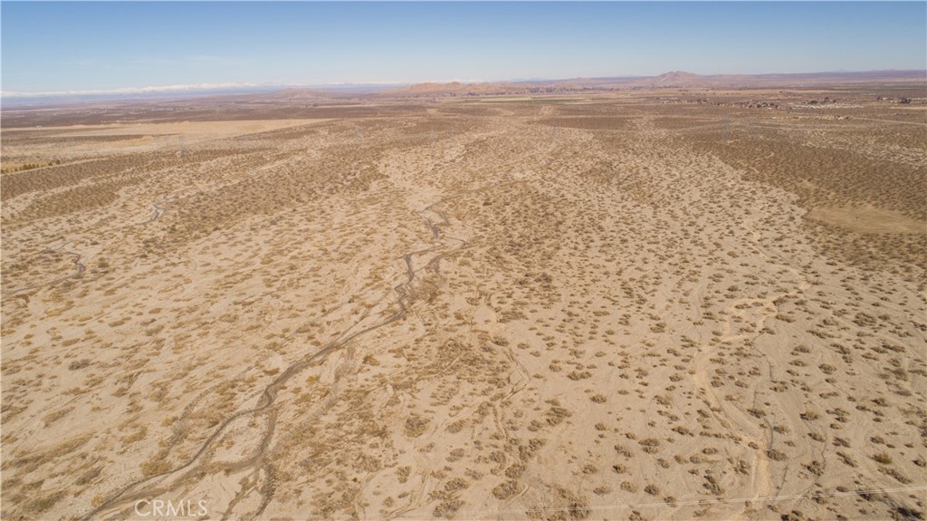 MLS #JT25172803 image #5