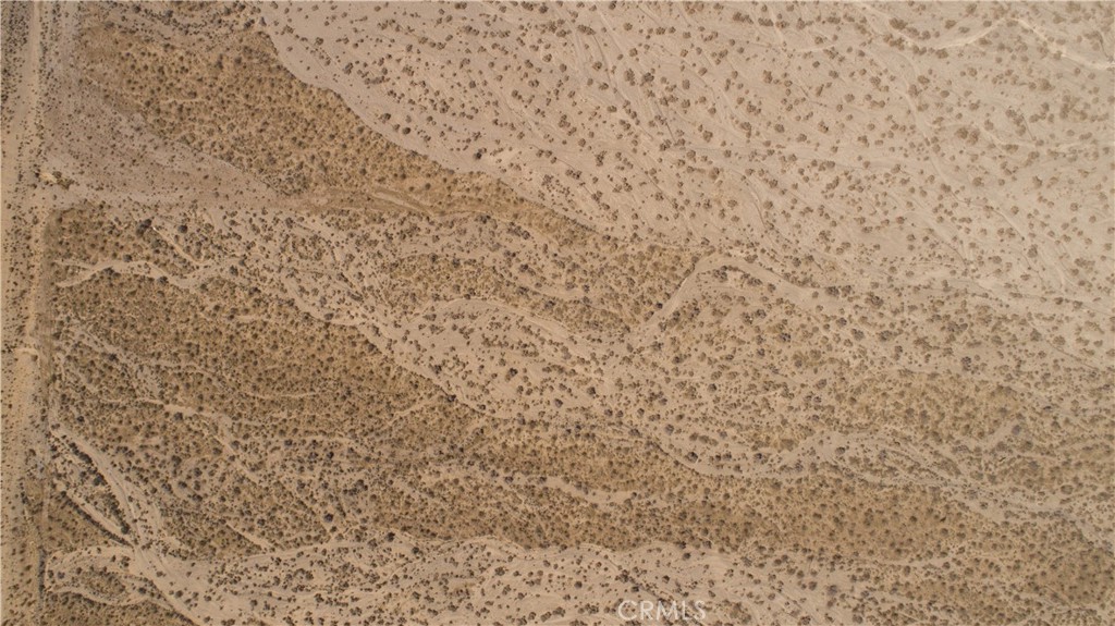 MLS #JT25172803 image #9