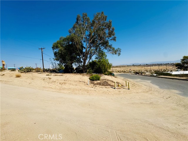 MLS #JT25177457 image #3