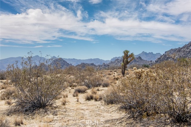 MLS #JT25180847 image #11