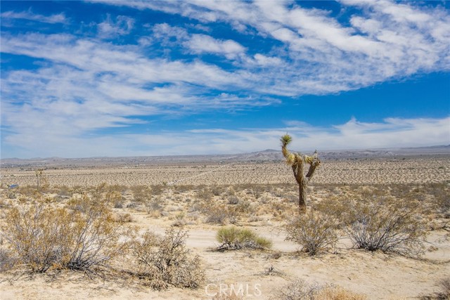 MLS #JT25180847 image #15