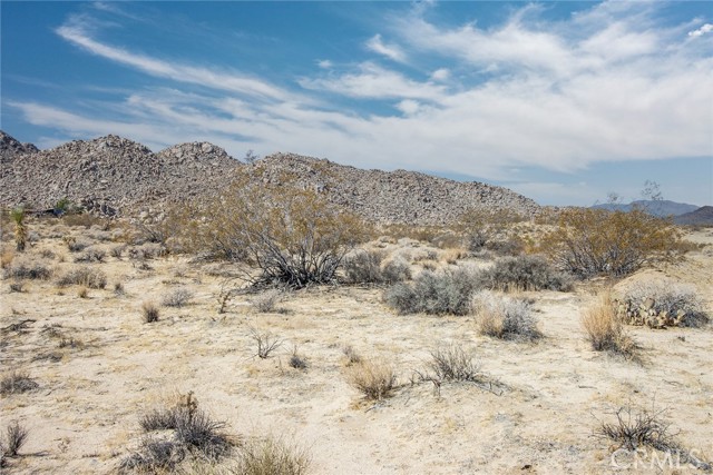 MLS #JT25180847 image #16