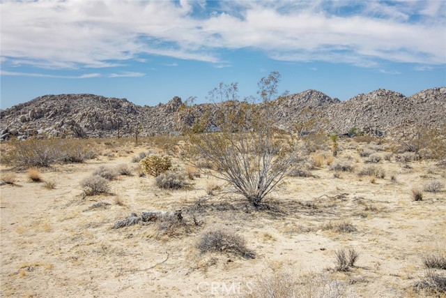 MLS #JT25180847 image #3