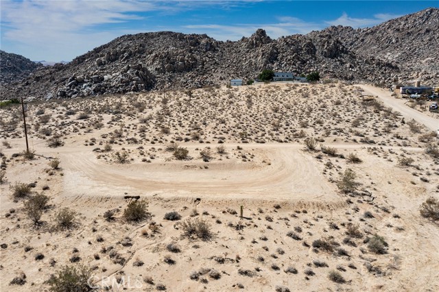 MLS #JT25180847 image #5