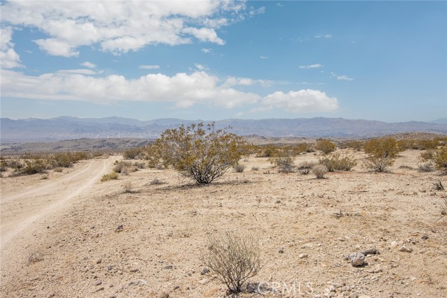 MLS #JT25181019 image #1