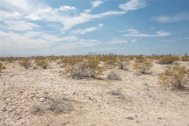 MLS #JT25181019 image #3