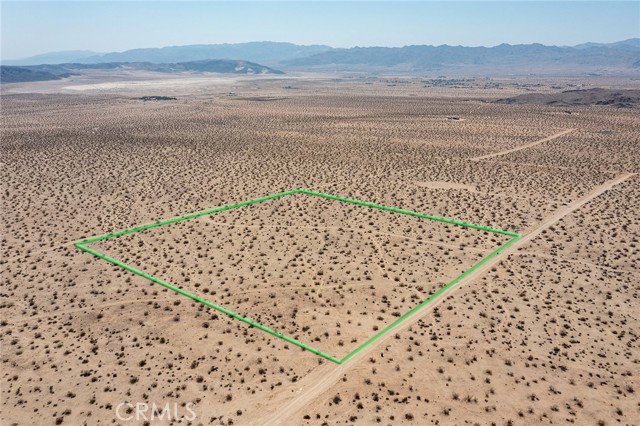 MLS #JT25181019 image #4