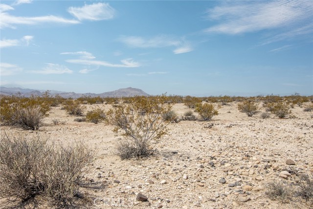 MLS #JT25181019 image #7