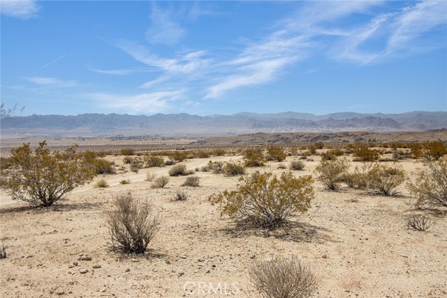 MLS #JT25181019 image #9