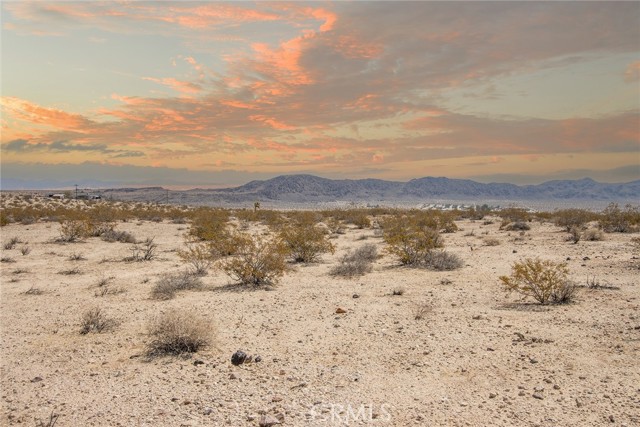 MLS #JT25181039 image #1