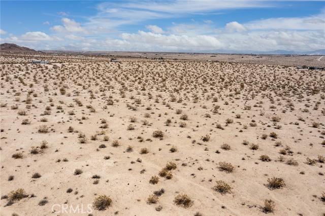 MLS #JT25181039 image #12