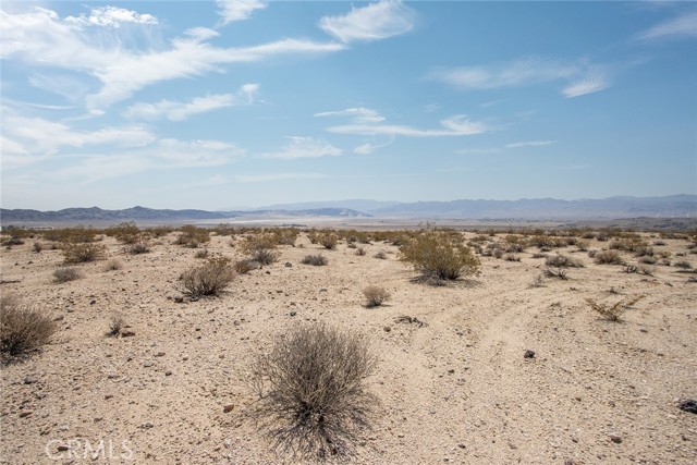 MLS #JT25181039 image #13