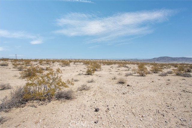 MLS #JT25181039 image #15