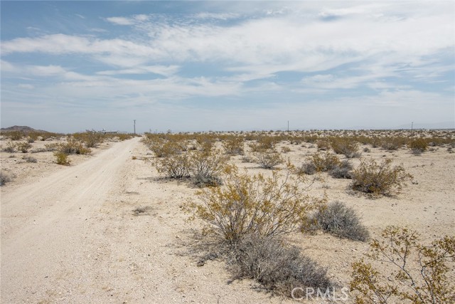 MLS #JT25181039 image #3