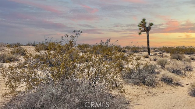 MLS #JT25181039 image #5