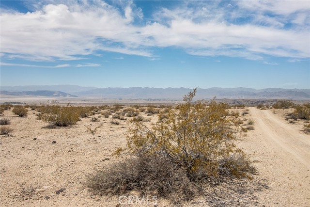 MLS #JT25181039 image #7