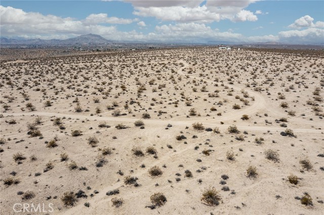 MLS #JT25181039 image #9