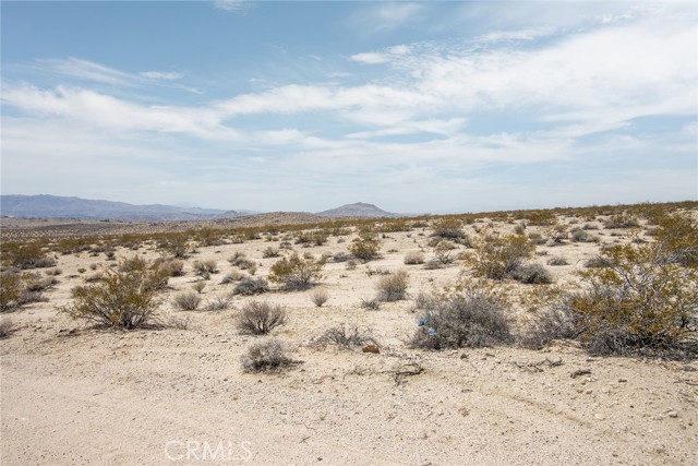 MLS #JT25181057 image #13