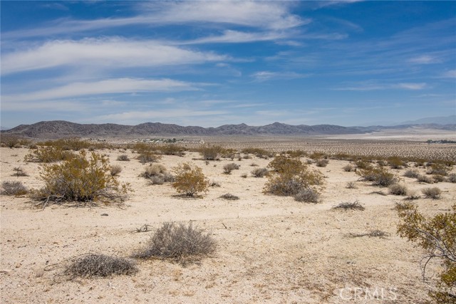 MLS #JT25181057 image #15