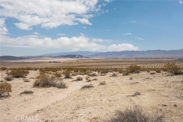 MLS #JT25181057 image #17