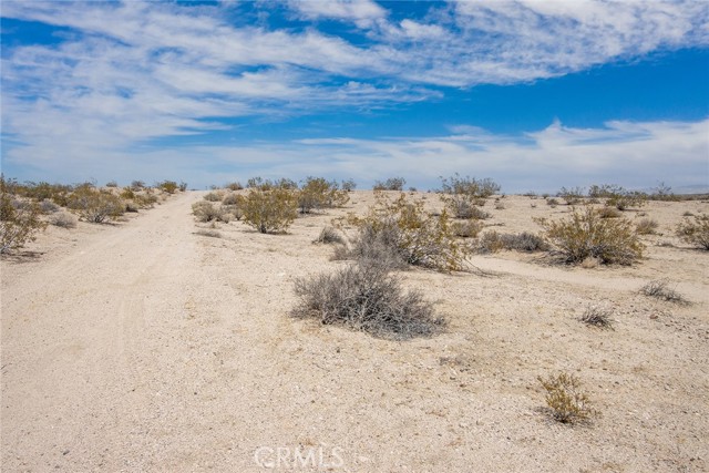 MLS #JT25181057 image #3