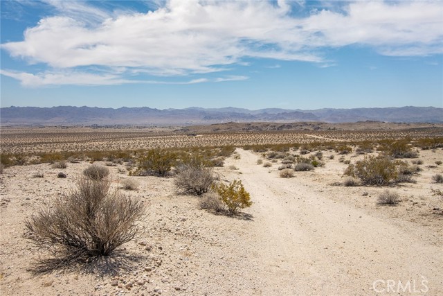 MLS #JT25181057 image #5