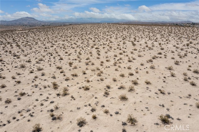 MLS #JT25181057 image #9