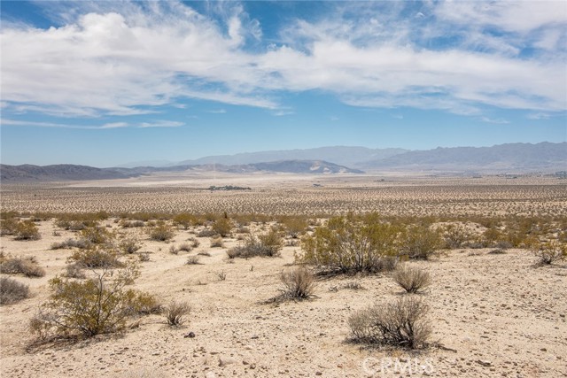 MLS #JT25181067 image #1