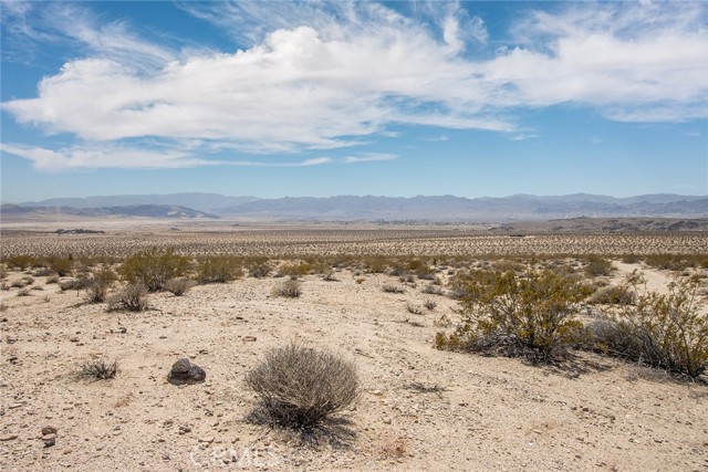 MLS #JT25181067 image #11